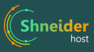 Подробный обзор хостинга Shneider-host.ru